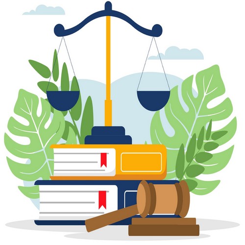 30 - Il nuovo Codice dei Contratti Pubblici: principi e applicazioni